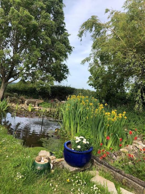 Beautiful Barn Conversion, 3 Bed, Hot Tub, Sauna, Gym, Enclosed Garden * Ryde (Isle of Wight)