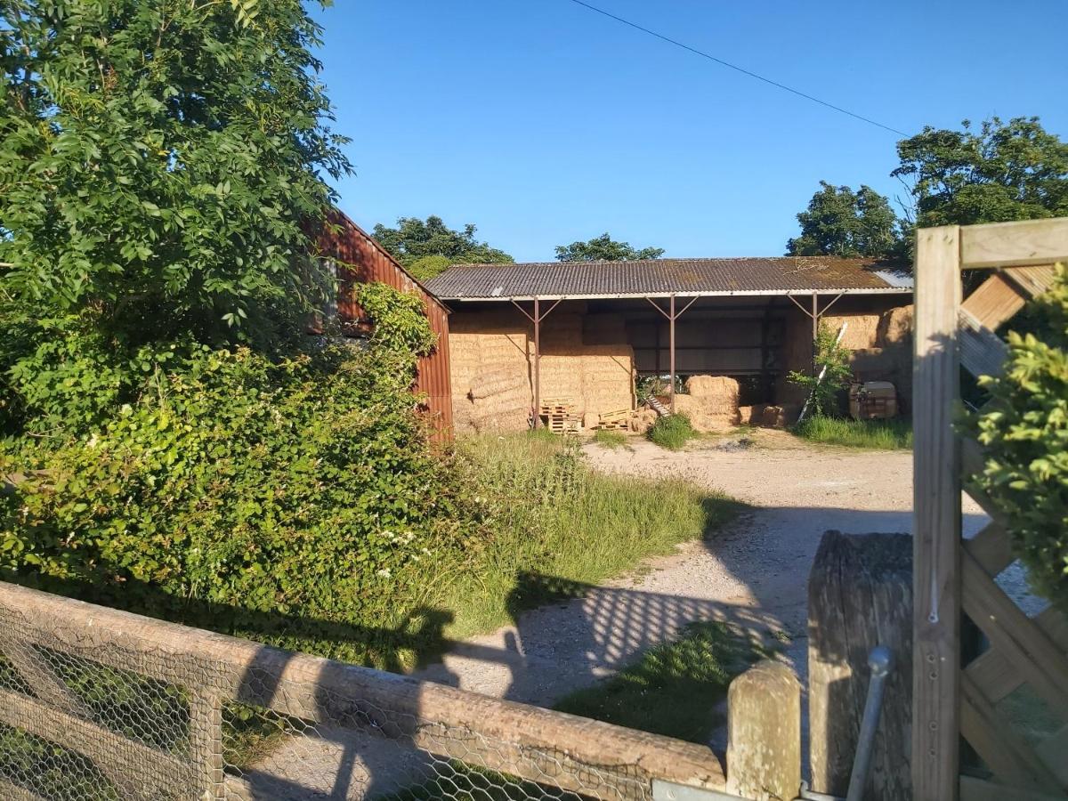 Beautiful Barn Conversion, 3 Bed, Hot Tub, Sauna, Gym, Enclosed Garden Holiday home *